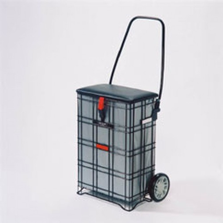 Shopping Trolley with Seat