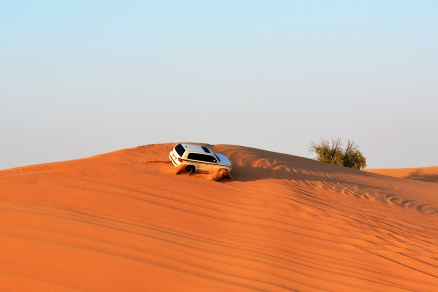 The Best of Dubai Desert Activities